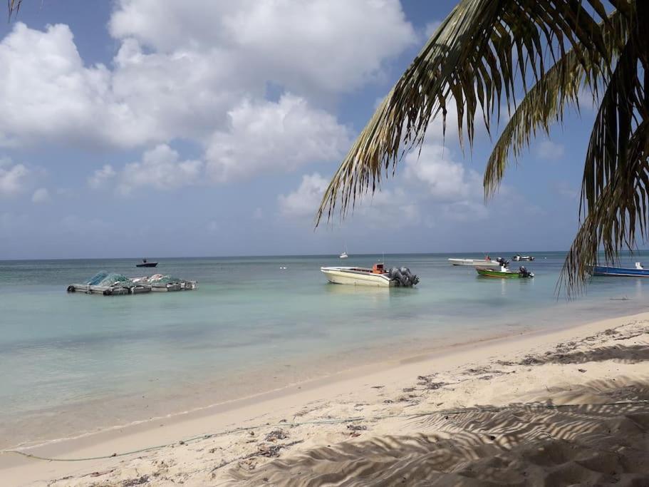 Au Bout Du Reve - Le Gosier Villa Le Gosier  Eksteriør billede