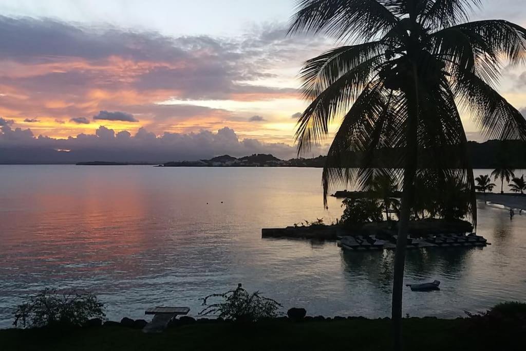Au Bout Du Reve - Le Gosier Villa Le Gosier  Eksteriør billede
